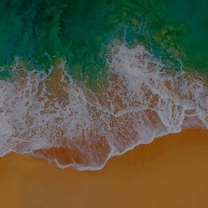 Meet your Posher, Fernando